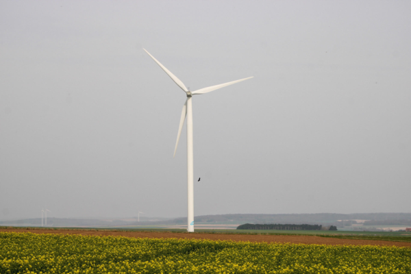 Les éoliennes sont-elles vraiment « écolos » ?